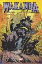 WAKANDA: WORLD OF BLACK PANTHER OMNIBUS    HC