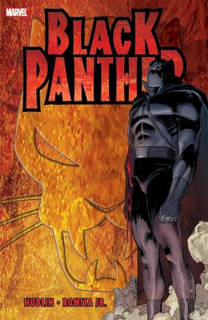 BLACK PANTHER: WHO IS THE BLACK PANTHER    Paperback