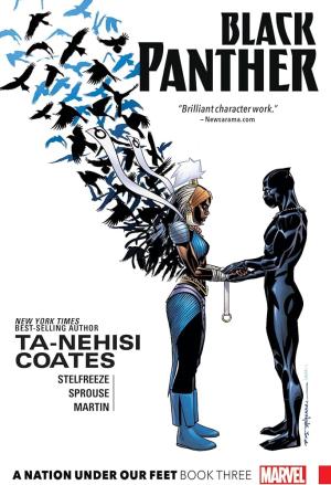 BLACK PANTHER: A NATION UNDER OUR FEET BOOK 3   Paperback