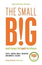 The small BIG Paperback