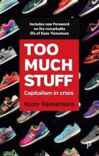 TOO MUCH STUFF Paperback