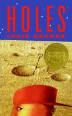 HOLES Paperback
