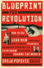 BLUEPRINT FOR REVOLUTION Paperback