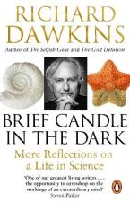BRIEF CANDLE IN THE DARK Paperback B