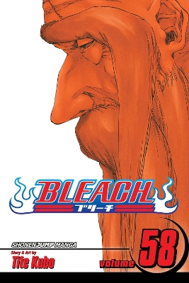 BLEACH 58 Paperback