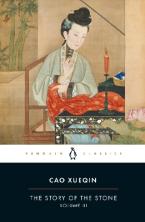 THE STORY OF THE STONE Paperback